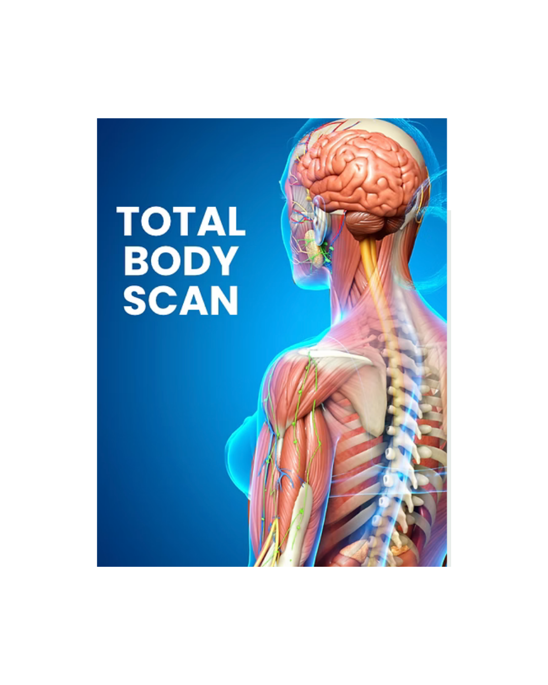 DEMO TOTAL BODY SCAN - Revivalab